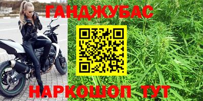 трава Бийск