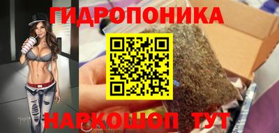 твердый Берёзовский