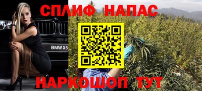 трава Бийск