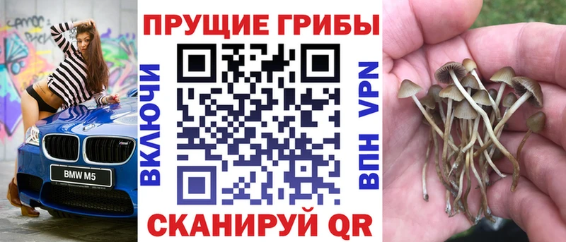 hydra   Бугуруслан  Псилоцибиновые грибы прущие грибы 