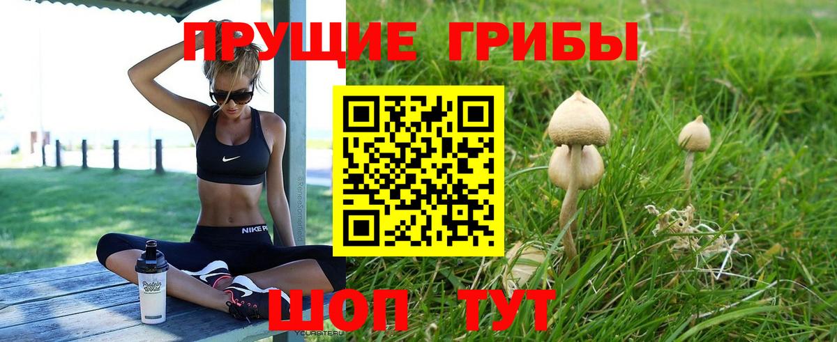 Псилоцибиновые грибы Cubensis Бугуруслан