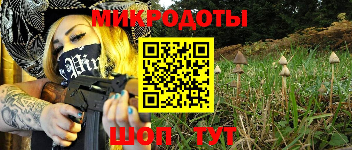 Псилоцибиновые грибы GOLDEN TEACHER  что такое   Вход с VPN  Бугуруслан  Галлюциногенные грибы Magic Shrooms 